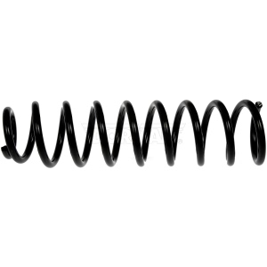 Dorman Front Coil Springs for 2009 Mercedes-Benz E63 AMG - 926-575