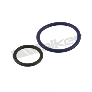 Walker Products Fuel Injector Seal Kit for Buick - 17099