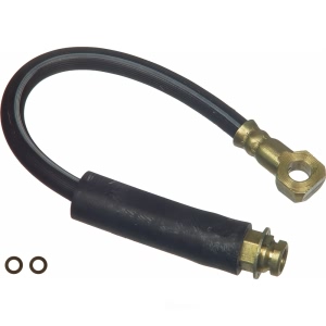 Wagner Brake Hydraulic Hose for 2004 Chevrolet Classic - BH138059