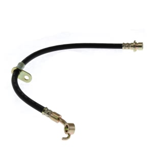 Centric Rear Passenger Side Brake Hose for 2012 Acura TSX - 150.40387