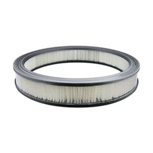 Hastings Air Filter for Ford LTD - AF127