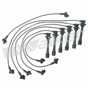 Walker Products Spark Plug Wire Set for Lexus - 924-1308