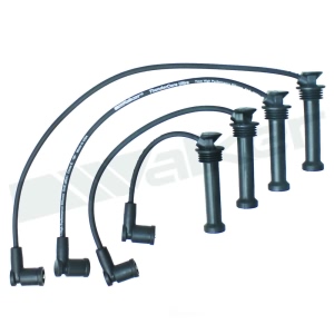 Walker Products Spark Plug Wire Set for 2003 Mazda 6 - 924-2028