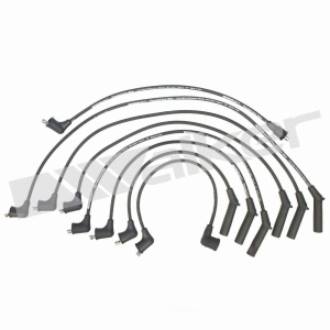 Walker Products Spark Plug Wire Set for Plymouth - 924-1301