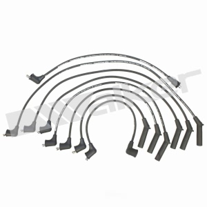 Walker Products Spark Plug Wire Set for 1988 Dodge Caravan - 924-1301