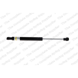 lesjofors Hood Lift Support for 2010 Land Rover Range Rover - 8075702