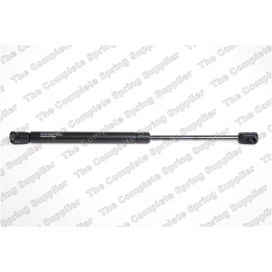 lesjofors Hood Lift Support for Jaguar - 8041403