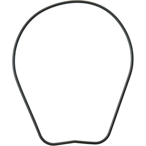 Victor Reinz Engine Oil Pump Gasket for Toyota - 71-15396-00