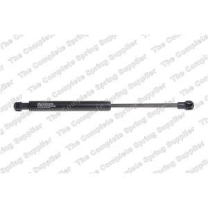 lesjofors Hood Lift Support for BMW 535i GT xDrive - 8004226