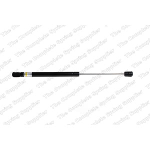 lesjofors Trunk Lid Lift Support for 2003 Audi TT - 8104223