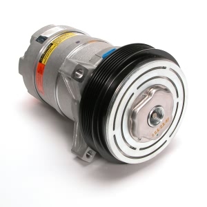 Delphi A C Compressor With Clutch for 1994 Buick Regal - CS0089