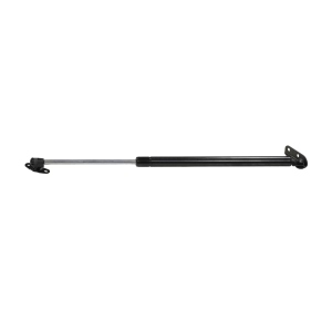 StrongArm Passenger Side Liftgate Lift Support for Toyota - 4305R
