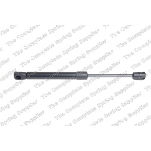 lesjofors Hood Lift Support for 2017 BMW 328d xDrive - 8008421