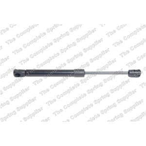 lesjofors Hood Lift Support for BMW 330e - 8008421