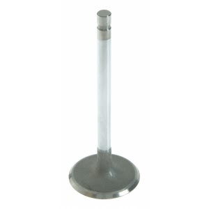 Sealed Power Engine Intake Valve for 2002 GMC Savana 2500 - V-4569