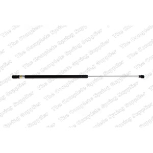 lesjofors Hood Lift Support for 2008 BMW Z4 - 8008419