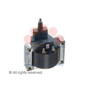facet Ignition Coil for 1989 Jeep Wrangler - 9.6007