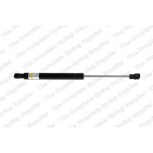 lesjofors Hood Lift Support for BMW 528i - 8008414