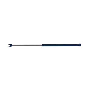 StrongArm Hood Lift Support for 2005 Chrysler 300 - 6303