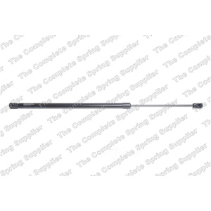 lesjofors Trunk Lid Lift Support for BMW - 8108434