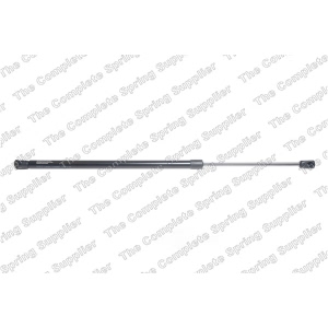 lesjofors Trunk Lid Lift Support for 2017 BMW 328d xDrive - 8108434