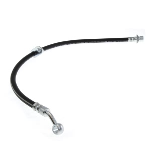 Centric Front Passenger Side Brake Hose for 2008 Honda Civic - 150.40107