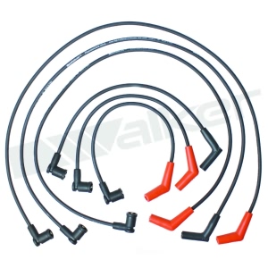 Walker Products Spark Plug Wire Set for 2002 Ford E-150 Econoline - 924-2022