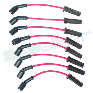 Walker Products Spark Plug Wire Set for 2013 Chevrolet Corvette - 924-2051