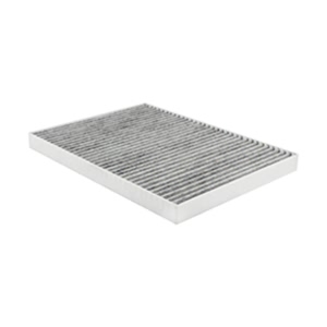 Hastings Cabin Air Filter for 2010 Chevrolet Traverse - AFC1649