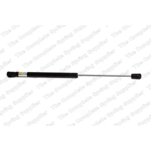 lesjofors Trunk Lid Lift Support for 1996 Audi A6 - 8104210