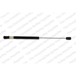 lesjofors Trunk Lid Lift Support for 1997 Audi A6 - 8104210
