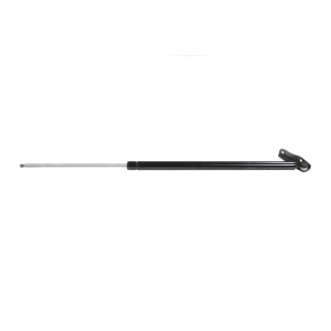 StrongArm Driver Side Liftgate Lift Support for Toyota - 4906