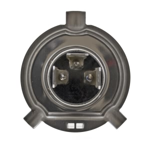 Hella Performance Series Halogen Light Bulb for 1998 Mazda MPV - 9003 2.0TB