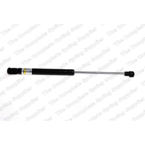 lesjofors Hood Lift Support for 2001 BMW M5 - 8008408