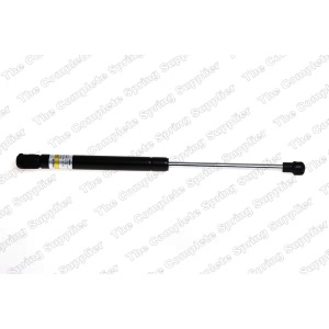 lesjofors Hood Lift Support for BMW 530i - 8008408