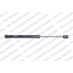 lesjofors Hood Lift Support for 2017 Audi RS7 - 8004228