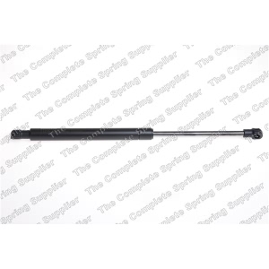 lesjofors Hood Lift Support for BMW X1 - 8004227