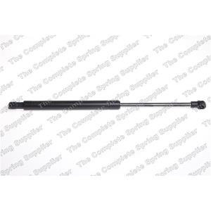 lesjofors Hood Lift Support for 2015 BMW X1 - 8004227