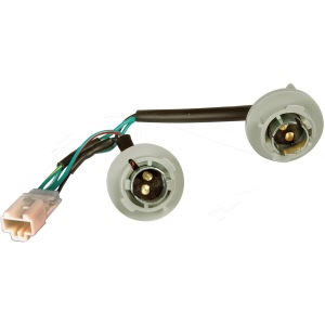 Dorman OE Solutions Tail Lamp Socket for Nissan - 923-010