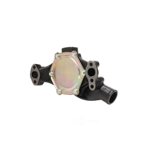 Dayco Engine Coolant Water Pump for Chevrolet Corvette - DP8191