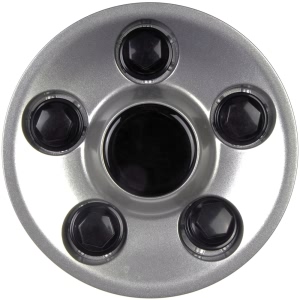 Dorman Silver Wheel Center Cap for 2004 Pontiac Grand Am - 909-026