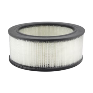 Hastings Air Filter for Ford Country Squire - AF5