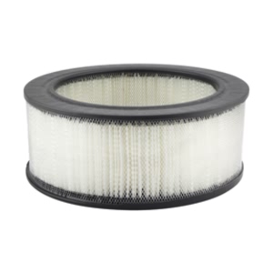 Hastings Air Filter for Mercury Monterey - AF5