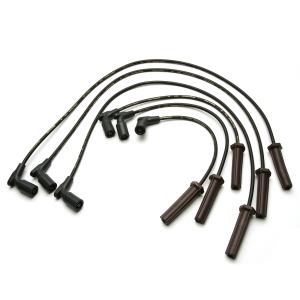 Delphi Spark Plug Wire Set for Buick - XS10544