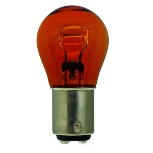Hella Standard Series Incandescent Miniature Light Bulb for American Motors - 1034A
