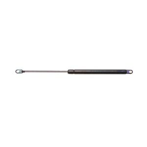 StrongArm Hood Lift Support for Buick Skylark - 4421