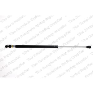 lesjofors Liftgate Lift Support for 2006 BMW X5 - 8108418