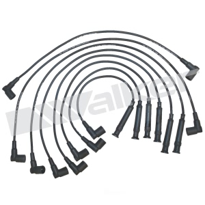 Walker Products Spark Plug Wire Set for 1991 BMW 325iX - 924-1268