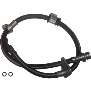 Wagner Brake Hydraulic Hose for 1991 Honda Accord - BH123800