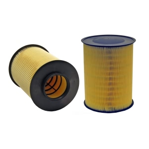 WIX Air Filter for 2015 Ford Focus - 49017